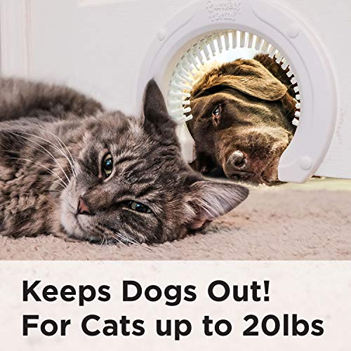 Purrfect Portal Cat Door for Interior Doors with Grooming Brush Large