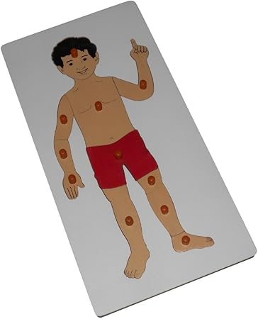 Kido Toys Wooden Jigsaw Puzzle: Parts Of Body With Pegs