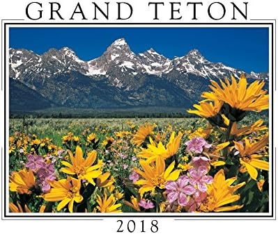 2018 Grand Teton Mini Wall Calendar