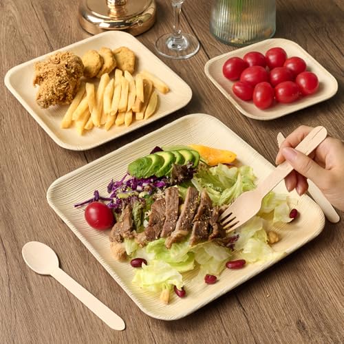 ECOLipak 10 Inch Compostable Palm Leaf Plate Like Bamboo Plate, 50 Pack | Disposable Biodegradable Plates, Suitable for Party, Dinner