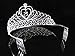 Janefashions Quinceanera Sweet 15 Fifteen 15th Birthday Party coronas de quinceañeras Clear White Austrian Rhinestone Tiara Crown with Hair Combs Princess Gold Silver T1756 (Silver With Combs)