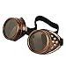 New Sell Vintage Steampunk Goggles Glasses Welding Cyber Punk Gothic (Copper)