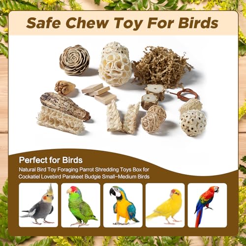 SUSOO Natural Bird Chewing Wooden Toys DIY Set, Safe Shredding Toys with Sola Balls, Wood Blocks, Apple Wood and Pine Cone, Foraging Toy for Parrots, Parakeet, Budgie, Conure,Love Birds and Cockatiel