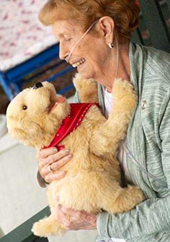 Joy for All Robotic Sitting Golden Dog - Stuffed Animal Therapy for People with Memory Loss from Aging and Caregivers - Thumbnail 7