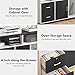 Tribesigns Wood File Cabinet, 2 Drawer Storage Printer Stand, Mobile Lateral Filing Cabinet with Locks and Wheels, Open Storage Shelves for Study, Home Office (Black&White)