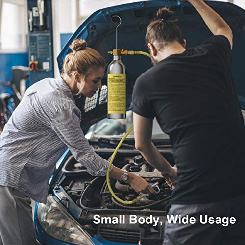 1 Goplus+Conditioner+System+Flush+Canister