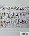 The Year the Stars Fell: Lakota Winter Counts at the Smithsonian