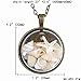 FM42 Sea Conch & Starfish Glass Locket Pendant Necklace with 26