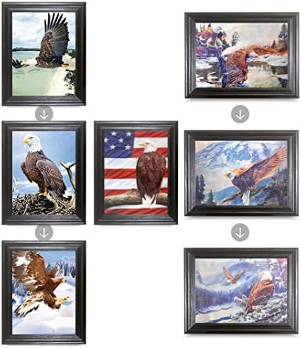 Those Flipping Pictures Flipping Pictures Room Bundle Holographic Art-Multiple Pictures in ONE-Light up Your Walls-Lenticular Artwork-Hologram Images (Framed, American Eagle Bundle)