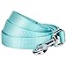 Blueberry Pet Essentials Mint Blue Dog Leash for Large - 4' * 1