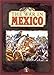 War in Mexico by