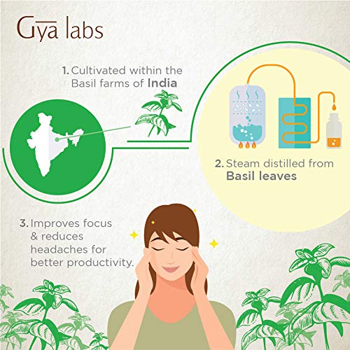 5 Basil+Essential+Oil+Therapeutic+Relaxation