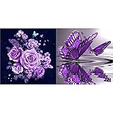 Hestya 2 Pieces Full Diamond Painting Rhinestone Painting Flowers Butterfly DIY Kit Supplies for Art Craft Home Decorations, 12 by 12 inch