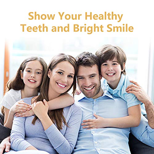 6 Dental+Apsung+Stainless+Scraper+Tweezers