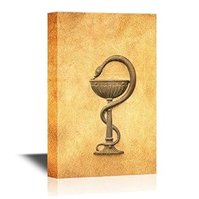 Canvas Wall Art - Symbol of Pharmacy, Detail of an Ancient Sign of a Pharmacy, Medicine and Drugs - Gallery Wrap Modern Home Art | Ready to Hang - 12x18 inches