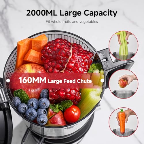 AMZCHEF Cold Press Juicer Machines, Slow Masticating Juicer with Low Noise DC Motor & Triple Filter, 160mm Wide Chute & 2L Capacity for Whole Fruits and Vegetables, Easy to Clean, Stainless Steel