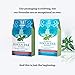 Life Extension Focus Tea Spearmint Mix - Sugar Free Attention Boost Herbal Tea Powder Supplement - Support Memory and Concentration – Gluten-Free, Non-GMO – 14 Stick Packs