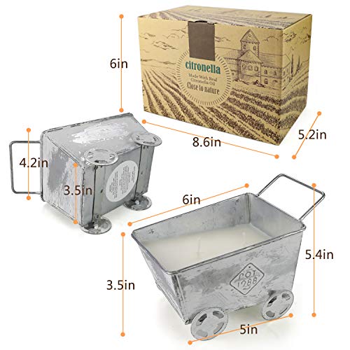 Blisstrip Candele Alla Citronella, Citronella Candele Candele Citronella Esterno Candela Citronella Giardino Citronella Candela Citronella Da Esterno Per Campeggio, Feste Ed Eventi Interno Ed Esterno