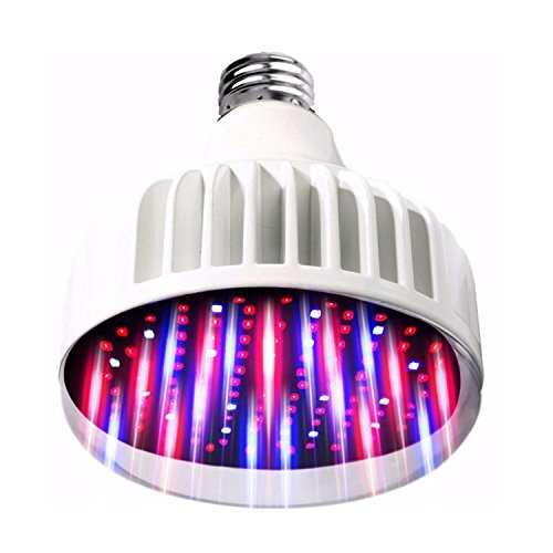 Lighting Labs Pro Grow Series - LED Grow Bulb - Real 40 Watt Output, Full Spectrum, Red and Blue Tuned for Maximum Flowering, hydroponic Indoor Green House, E27, 120-277V, Clear Cover