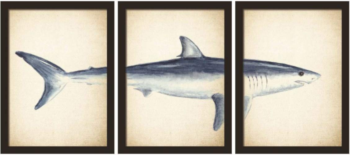 Walplus Wall Stickers Great White Shark Posters Murals Decals art living Room Nursery School Restaurant Hotel Cafe Office Décor Home Decoration, multicolour
