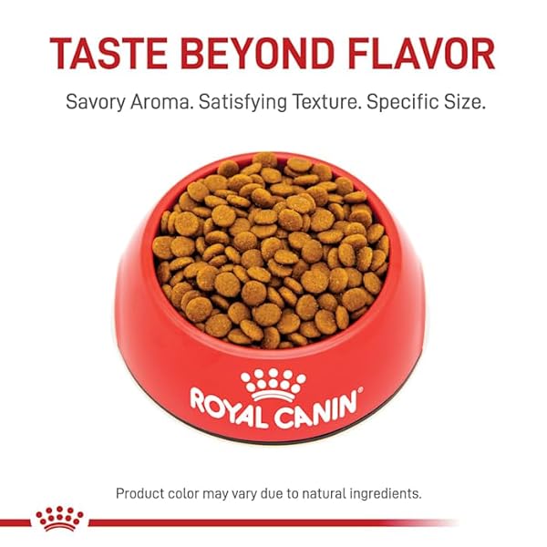 ROYAL CANIN FELINE CARE NUTRITION HAIR & SKIN CARE ADULT DRY CAT FOOD, 6 LB BAG