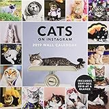 Cats on Instagram 2019 Wall Calendar by