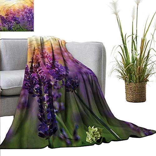 WinfreyDecor Throw Blanket Decorative Lavender for Beach Scenic Gardening Plants 80"x60"