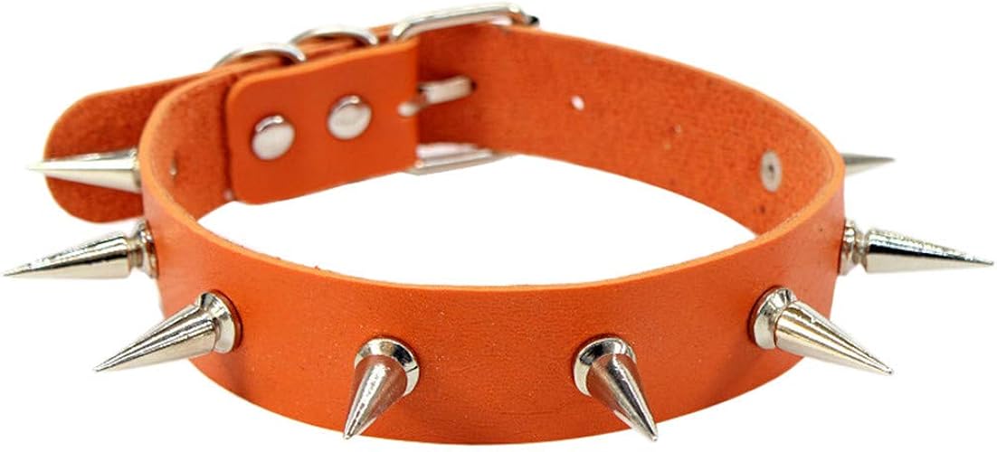 Amazon 女性ネックレスファッションロックパンクゴシックヴィンテージネックレスレザーカラーゴシックチョーカー ピアス 通販