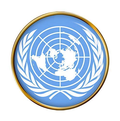 United Nations Flag Lapel Pin Badge Buy Online In Uae
