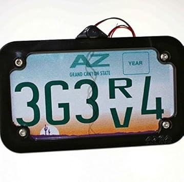 lighted license plate frame