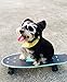 Dog Goggles to Protect Eyes - Stylish Dogs UV Sunglasses for Small to Medium Breed - White
