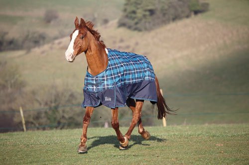 SE Summer Highlander to Sheet - 78 Navy/Royal Check