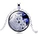 JAIYIQI S925 Sterling Silver Plated Square Cubic Zirconia Stud Earrings 6mm for Women Teen Girls Jewelry (Silver)
