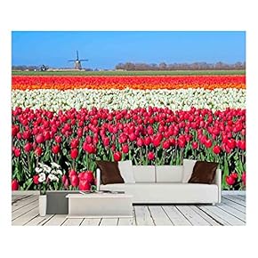 Colorful Tulip Fields and Dutch Windmill in North Holland - Removable Wall Mural | Self-Adhesive Large Wallpaper - 66x96 inches