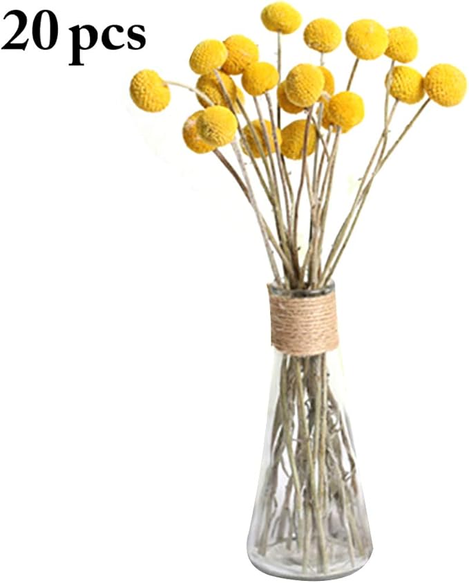 JUSTDOLIFE Home Decor Dried Flower Natural Craspedia Photography Prop