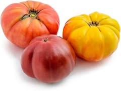 Organic Heirloom Tomato
