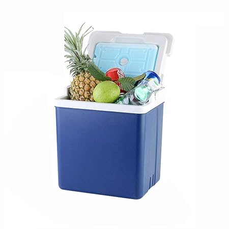 LIYANLCX - Nevera portátil para Camping, caravanas, Picnic y ...