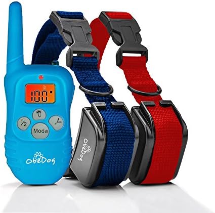 ObeDog Stride Series Two Dog Rechargeable and Weather Proof Training Collar Set, Baby Blue