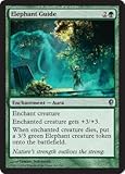 Magic: the Gathering - Elephant Guide (162) - Conspiracy