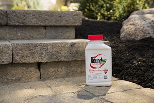 1 Roundup+Grass+Killer+Concentrate+16+Ounce