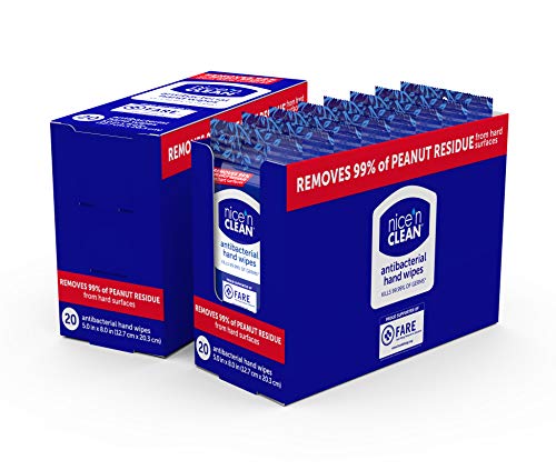 Nice 'n CLEAN Anti-Bacterial Hand Wipes, 20 Count (Pack of 6)
