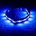 Blazin Light Up Dog Collar - The Original LED Dog Collar - USB Rechargeable - Waterproof - 1,000 Feet of Visibility - Dog Collar Light for Small, Medium, Large Dogs - USA Brand