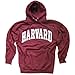 New York Fashion Police Harvard University Hoodie Sweatshirt Arched Block Maroon - S