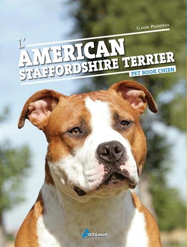 L' American staffordshire terrier