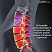 Coop Home Goods - Memory Foam Lumbar Support Back Cushion - Infused with Bamboo Charcoal- Professional Design-Ventilated to Stay Cool with Adjustable Stay Put Strap Orthopedic Pain Relief