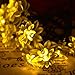 Qedertek Solar String Lights Lotus Flower, 19ft 30 LED Waterproof Decoration Lights for Indoor/Outdoor, Patio, Lawn, Garden, and Holiday (Warm White)
