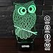 LJOYKID Owl 3D Led Night Light - Optical Illusion 7 Colors Touch Table Desk Visual Lamp with Remote Control Lamp for Gifts Toys for Children Kids