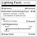 Sunlite 80467 LED G40 Edison Globe Light Bulb 8 Watts (100W Equivalent), Standard E26 Base, 880 Lumens, Dimmable, Decorative Clear Glass, Antique Filament, 1 Pack, 2200K Amber