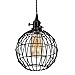 Rustic State Vintage Design Metal Light Cage Guard – Decorative Lamp Shade Black Set of 2Rustic State Vintage Design Metal Light Cage Guard – Decorative Lamp Shade Black Set of 2 (Globe)