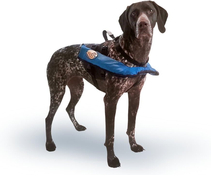 Critters Inflatable Pet Life Jacket (Size Medium) Amazon.co.uk Pet